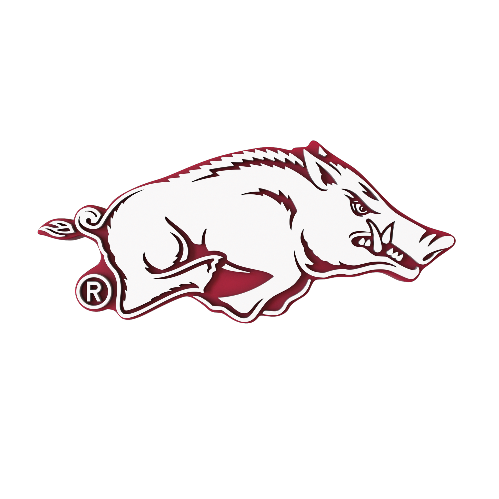 Budz | Arkansas Razorbacks image 1